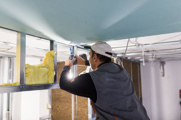 Best Local Insulation Services  in Lloyd Harbor, NY