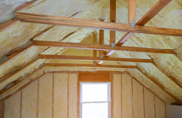 Best Insulation Inspection Services  in Lloyd Harbor, NY