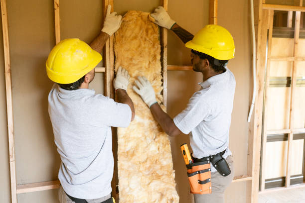 Best Home Insulation Services  in Lloyd Harbor, NY