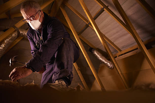 Best Spray Foam Insulation  in Lloyd Harbor, NY